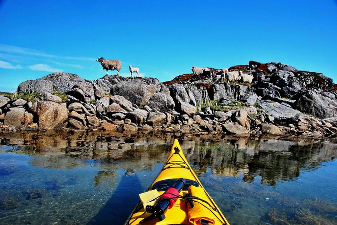 Full Day Kayak-Northern Explorer - What the Guide Role Looks Like in Real Life