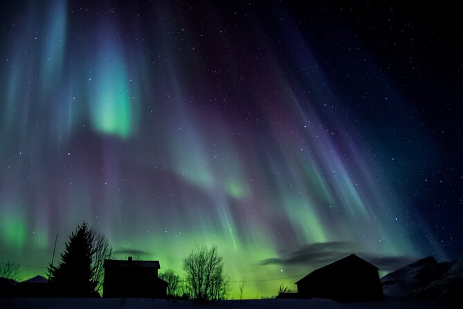 Full Night Magic of the Northern Lights in Tromso - Stop 1: Tromsø, Then the Hunt Zone Changes
