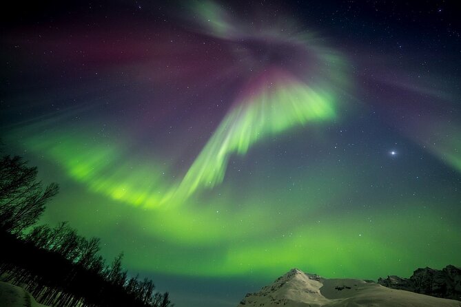 Full Night Magic of the Northern Lights in Tromso - Bonfire Moments, Snacks, and Staying Warm Without Wasting Time