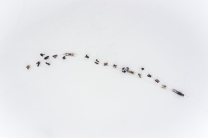 Fun & Easy Dog Sledding Adventure from Tromsø - Early Bird Tour - The Sled Ride Itself: Cozy Gear, Happy Dogs, and Mountain Views