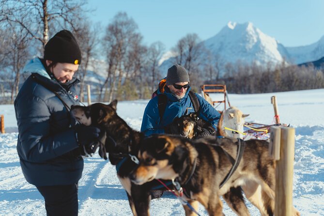Fun & Easy Dog Sledding Adventure from Tromsø - Midday Tour - Mushers, stops, and why first-timers tend to relax