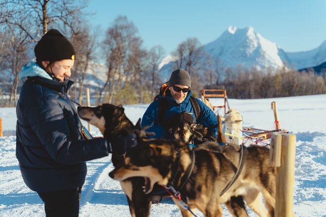 Fun & Easy Dog Sledding Adventure from Tromsø - Noon Tour - Who this self-drive sled trip suits best