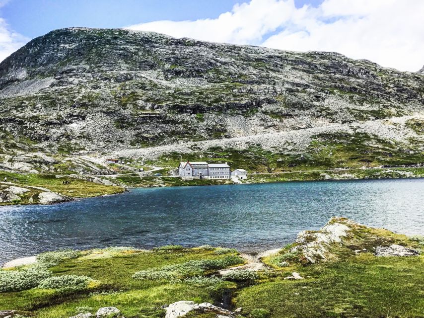 Geiranger: Dalsnibba, Flydalsjuvet, Eagle Bend & Fjords Tour - Meeting Point and Timing: The Cruise-Day Reality Check