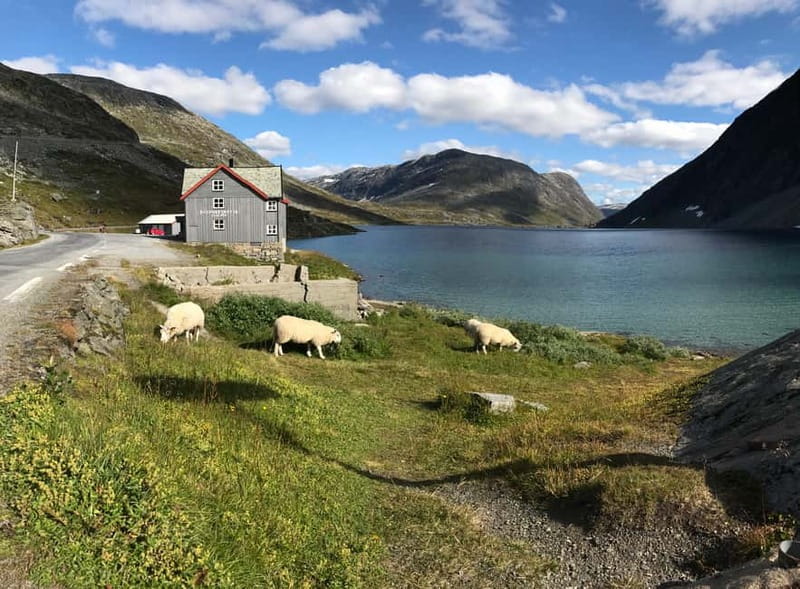 Geiranger Fjord: Downhill Self-Guided Bike Tour - Weather, Traffic, and Why Self-Guided Works for Some Riders and Not Others