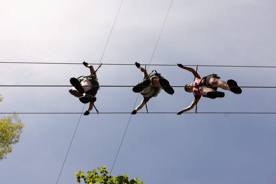 Geiranger: Zipline Park Experience - Dynamite Waterfall and the Forest Finish You Can’t Ignore