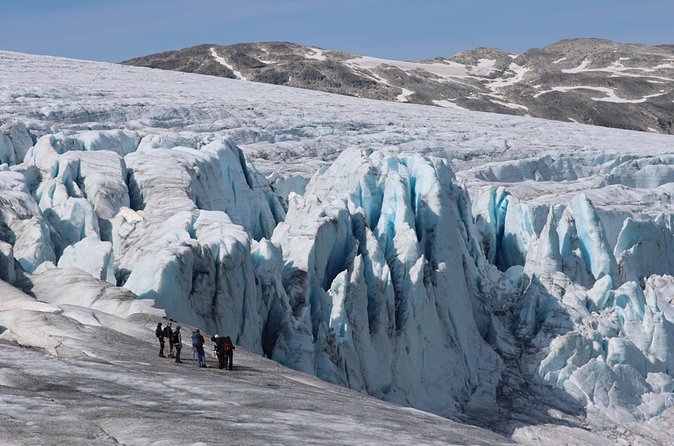 Glacier Half Day Tour on Stygge - Price and value: what you get for $235.82