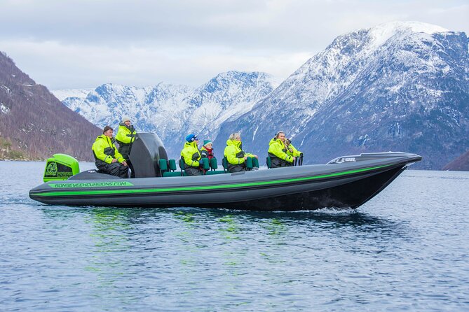 Guided Boat Tour in Geiranger - Price and Timing: Is $96.29 Worth It for 1 Hour 15 Minutes?