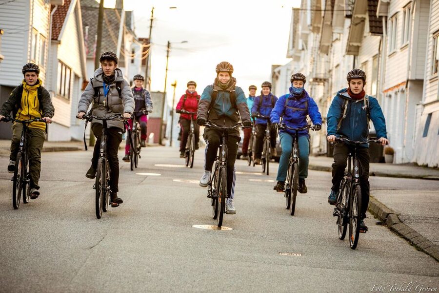 Guided E-Bike Tour in Haugesund: city, vikings, Rising Tides - Key highlights worth showing up for