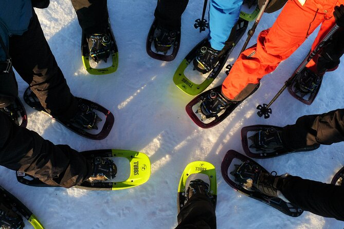 Guided easy snowshoeing with a visit to local café - Tromsø in winter, without the stress: easy snowshoeing plus café calm