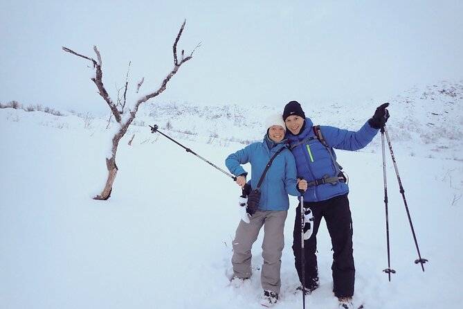 Guided easy snowshoeing with a visit to local café - Malangen and the polar-night feeling: when winter light does its job