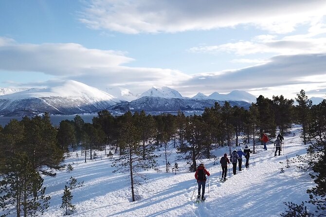 Guided easy snowshoeing with a visit to local café - The café payoff: Tove’s Tradisjonsmat kafé, lavvo warmth, and choosing your cake