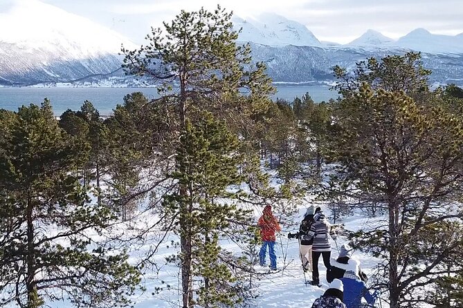 Guided easy snowshoeing with a visit to local café - Price and value: is $164.07 worth it in Tromsø winter?