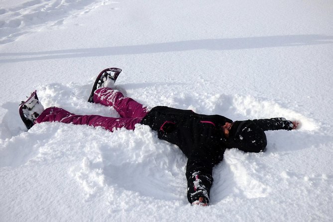 Guided easy snowshoeing with a visit to local café - The guided snowshoeing part: learning the rhythm fast
