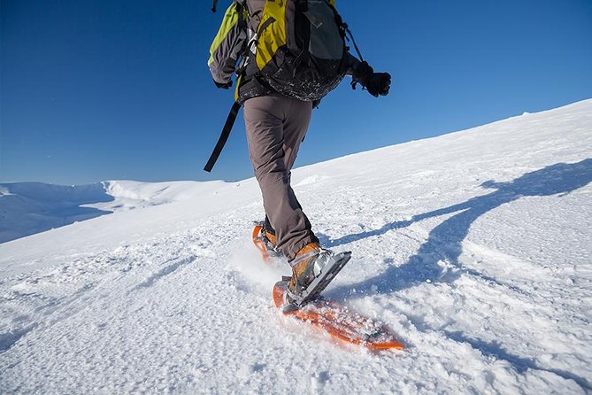 Guided Morning Snowshoe Hike with Huskies - Key highlights at a glance
