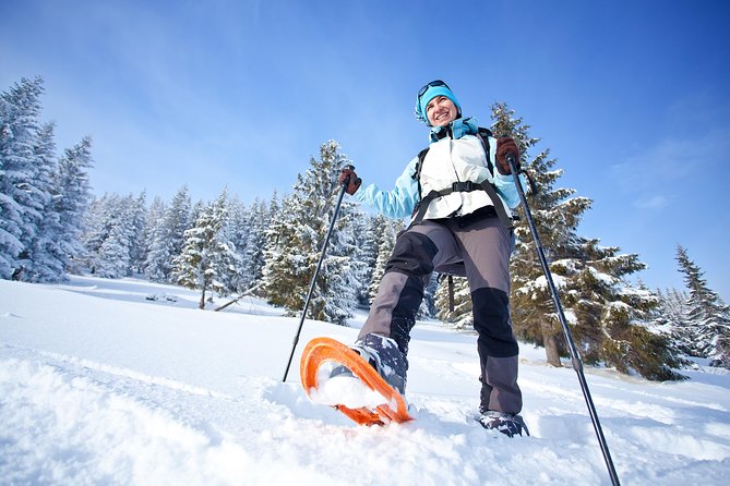 Guided Morning Snowshoe Hike with Huskies - What’s included, and why the price adds up (when you use what you get)