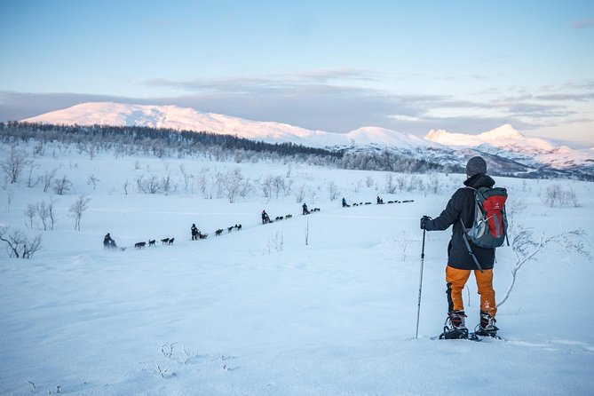 Guided Morning Snowshoe Hike with Huskies - What snowshoeing feels like here, and why the pacing works