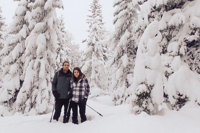 Guided Snowshoe Walk on Tromsoya Island in Tromso - Key highlights worth planning for