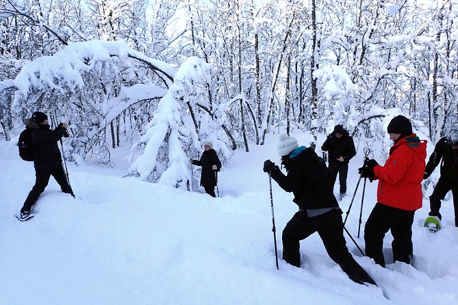 Guided Snowshoe Walk on Tromsoya Island in Tromso - Warm-up to viewpoints: how the 2.5 hours actually works