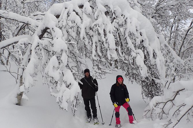 Guided Snowshoe Walk on Tromsoya Island in Tromso - Getting around town: short transfers that keep the focus on the walk