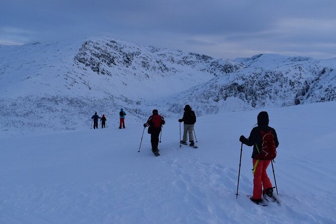Guided Snowshoe Walk on Tromsoya Island in Tromso - Price and value at about $118.77 per person