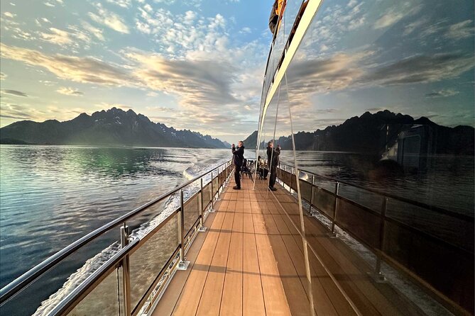 Guided Summer Arctic Light Cruise from Tromsø - Key highlights worth circling in your plans