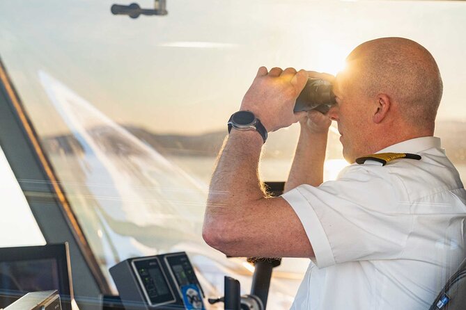 Guided Summer Arctic Light Cruise from Tromsø - Where You Start: Brim Explorer Tromsø and a Smooth 4-Hour Flow