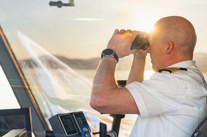 Guided Summer Arctic Light Cruise from Tromsø - Who This Cruise Fits Best (and Who Might Want Another Option)