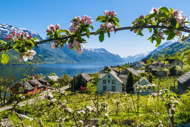 Guided tour - Hardangerfjord, Voss Gondola & 3 Great Waterfalls - Mount Hanguren by gondola: the quick way to big views