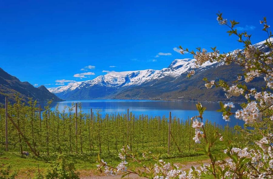 Guided tour: Hardangerfjord, Waterfalls and Ferry crossing - Key things you will notice on this Hardangerfjord day