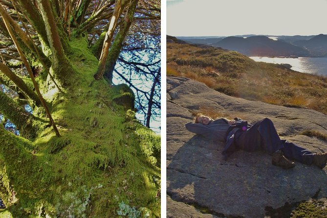 GUIDED TOUR: Hiking to Stoltzekleiven - The downhill route: lakes, small waterfalls, and a calmer return to Bergen