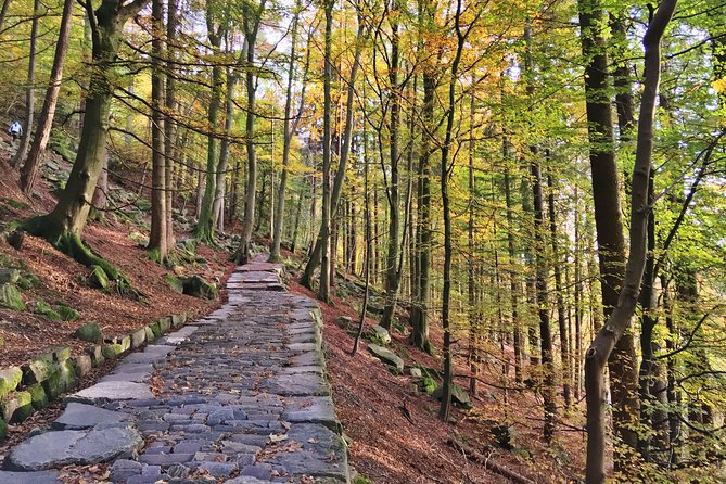 GUIDED TOUR: Hiking to Stoltzekleiven - Price and value: what $97.17 buys you in Bergen