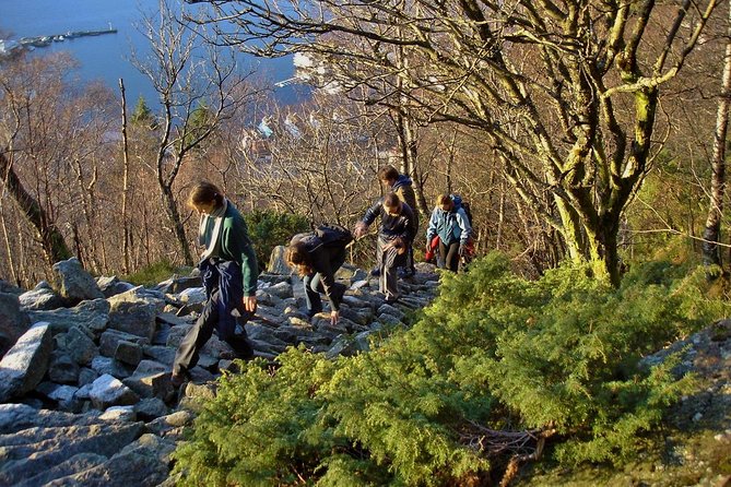 GUIDED TOUR: Hiking to Stoltzekleiven - Logistics you’ll care about: shoes, weather layers, and timing