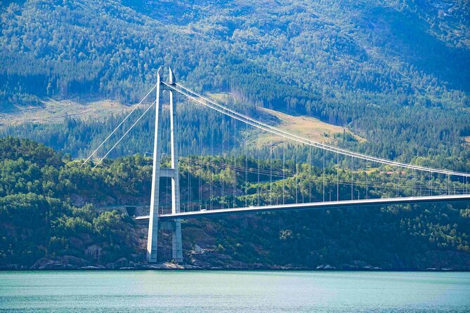 Guided tour to Hardangerfjord with Waterfalls and Ferry Crossing - Jondal to Tørvikbygd, then back to Bergen before dark