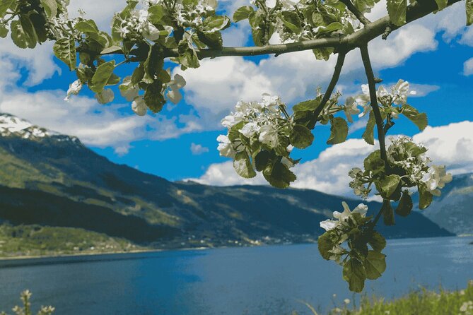 Guided tour to Hardangerfjord with Waterfalls and Ferry Crossing - Price and value: why $236.93 can make sense here