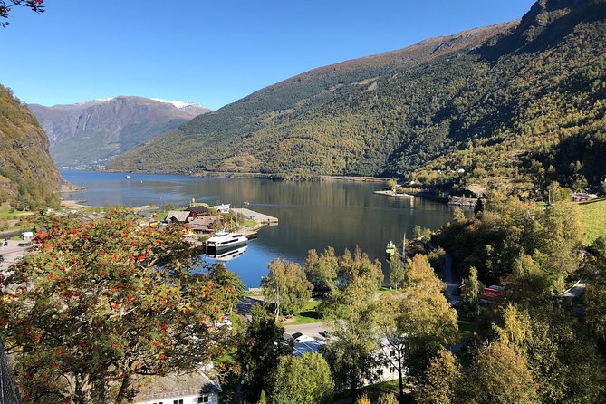 Guided Tour To Nærøyfjorden, Flåm And Stegastein - Viewpoint Cruise - Flåm time: quick lunch options and a photo-friendly village