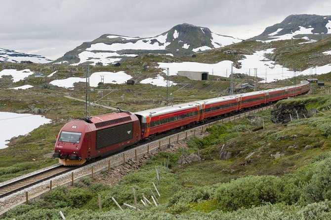 Guided tour - Viking Village, Nærøyfjord Cruise and Flåm Railway - Myrdal to Voss on the Bergen Line, High Elevation by Rail