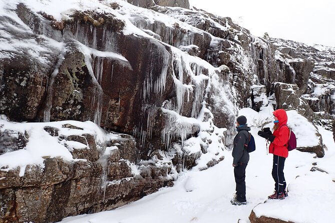Guided winter hike to Pulpit Rock Preikestolen - Lysefjord stop: a fjord pause before the main event