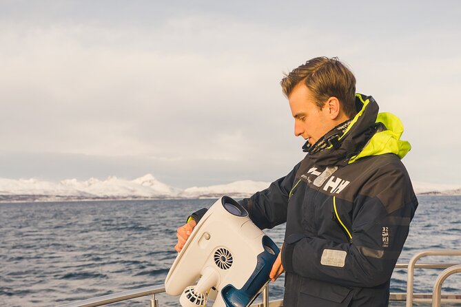 Half Day Arctic Fjord Cruise from Tromso - Key things to know before you go
