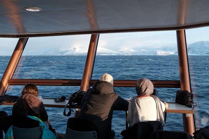 Half Day Arctic Fjord Cruise from Tromso - What the WiFi and restrooms actually change
