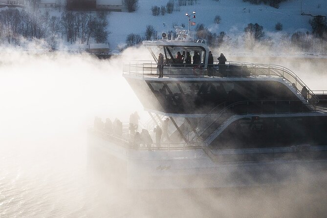 Half Day Arctic Fjord Cruise from Tromso - Timing and how to dress for a 4-hour cold-weather boat
