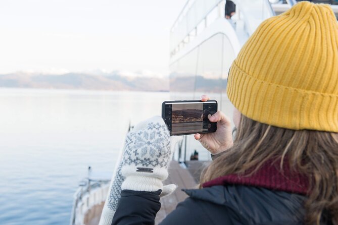 Half Day Arctic Fjord Cruise from Tromso - The onboard guide story: more than just “look left”