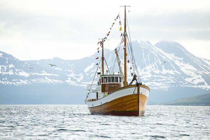 Half-Day Fishing & Fjord Cruise Adventure from Tromsø in Norway - Hermes II From Tromsø, The Old-Boat Feeling You Actually Want