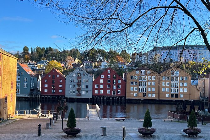 Half-Day Highlights of Trondheim by Bus and City Walk - Nidaros Cathedral: The Gothic Centerpiece, With a Pay-Once Choice