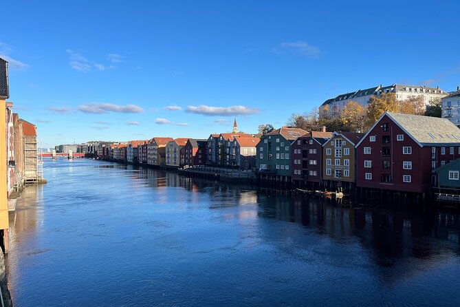 Half-Day Highlights of Trondheim by Bus and City Walk - Byåsen at Sverresli: The View That Makes the Coach Worth It