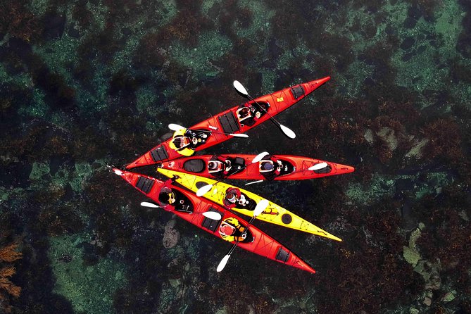 Half Day Kayak - Northern Explores AS - Key highlights you will actually feel on the water
