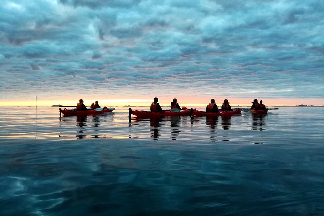 Half Day Kayak - Northern Explores AS - Wildlife spotting and nature stories you can use