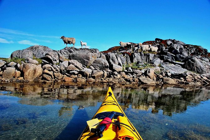 Half Day Kayak - Northern Explores AS - Who should book, and who should think twice