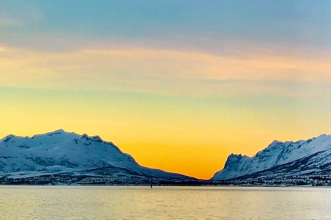 Half-Day Scenic Wildlife & Photographic Fjord Tour. - Photography Tips You Can Actually Use on the Fly