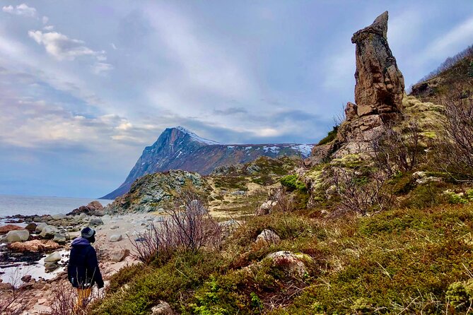 Half-Day Scenic Wildlife & Photographic Fjord Tour. - Price and Value: $193 for a Photo-First Fjord Morning