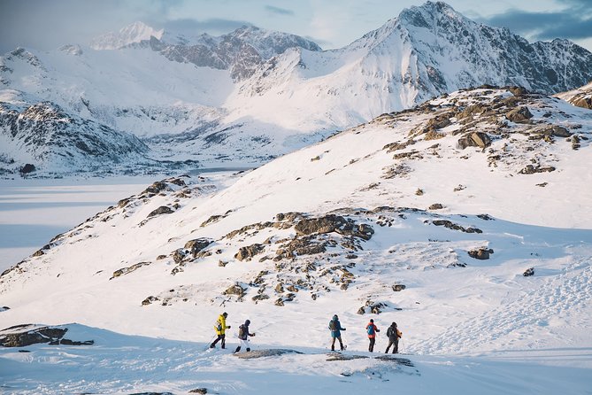 Half Day Snowshoe Tour - Lofoten Snowshoeing From Torvdalshalsen Viewpoint, Bøstad
